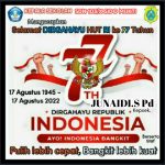 WhatsApp Image 2022-12-01 at 11.36.46